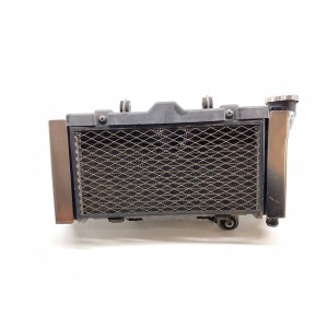 RADIATORE ELETTROVENTOLA KYMCO VENOX 250 2000-2006