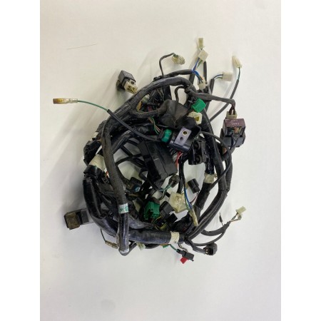 ELECTRICAL SYSTEM WIRING WIRING WIRES KYMCO XCITING 300 i R 2007-2014