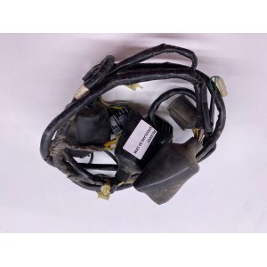 IMPIANTO ELETTRICO CABLAGGIO FILI CAVI PEUGEOT SPEEDLAKE 50 2T 1996-2001