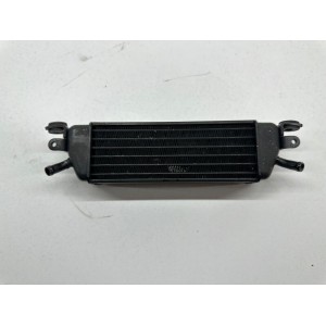 RADIATORE OLIO MOTORE BMW R 850 RT R850 RT 2002-2005 ABS 2