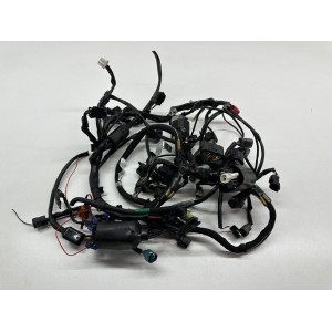 ELECTRICAL SYSTEM WIRING HARNESSES KAWASAKI NINJA 400 ABS 2018-2020