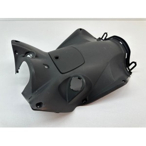 BACK SHIELD KYMCO AGILITY PLUS + 50 125 150 4T 2