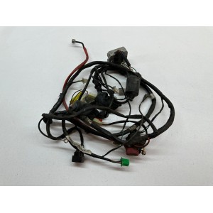 ELEKTRISCHE ANLAGE VERKABELUNG KYMCO AGILITY PLUS 125 4T VERGASER 2015-2016