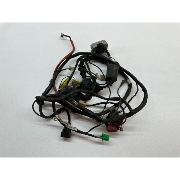 ELECTRICAL SYSTEM WIRING KYMCO AGILITY PLUS 125 4T CARBURETTOR 2015-2016