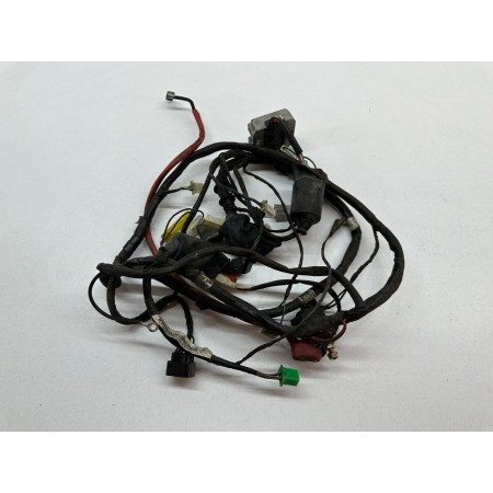 ELECTRICAL SYSTEM WIRING KYMCO AGILITY PLUS 125 4T CARBURETTOR 2015-2016