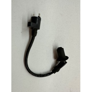 BOBINA D'ACCENSIONE KYMCO AGILITY PLUS 125 4T CARBURATORE 2015-2016