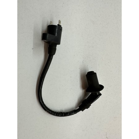 ZÜNDSPULE KYMCO AGILITY PLUS 125 4T VERGASER 2015-2016