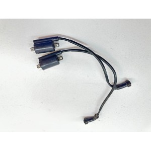 COPPIA BOBINE BOBINA D'ACCENSIONE YAMAHA DRAGSTAR DRAG STAR XVS 250 2000-2004