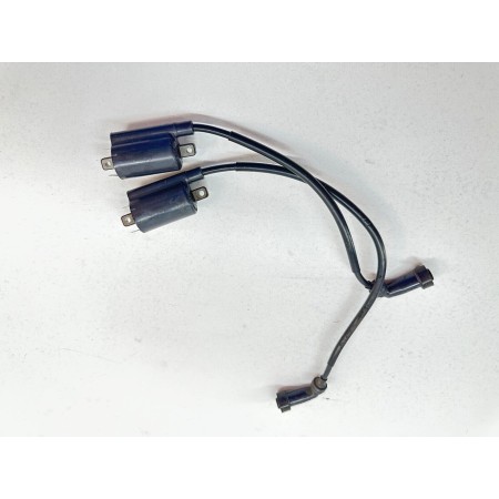 COPPIA BOBINE BOBINA D'ACCENSIONE YAMAHA DRAGSTAR DRAG STAR XVS 250 2000-2004