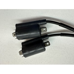 COPPIA BOBINE BOBINA D'ACCENSIONE YAMAHA DRAGSTAR DRAG STAR XVS 250 2000-2004 2