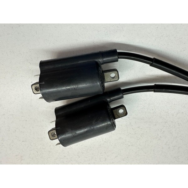 COPPIA BOBINE BOBINA D'ACCENSIONE YAMAHA DRAGSTAR DRAG STAR XVS 250 2000-2004