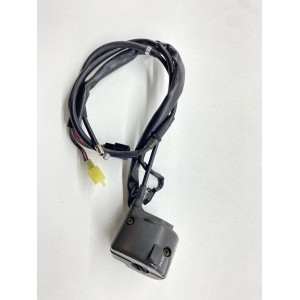 BLOC D'INTERRUPTEUR DE DÉRIVATION GAUCHE KAWASAKI ZR7 ZR-7 1999-2004 2