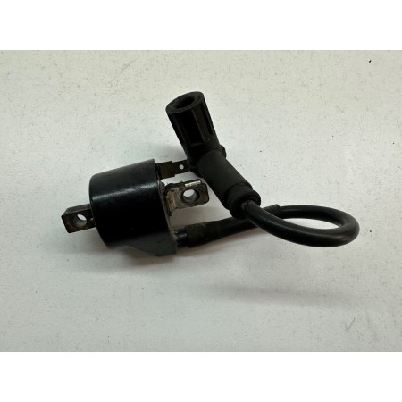 ZÜNDSPULE CAGIVA MITO 125 EV 1994-1996-2007 SIEBENGANG