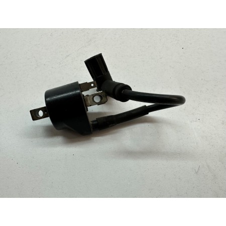 ZÜNDSPULE CAGIVA MITO 125 EV 1994-1996-2007 SIEBENGANG