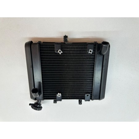 RADIATORE BENELLI LEONCINO 500 2017-2020-2022