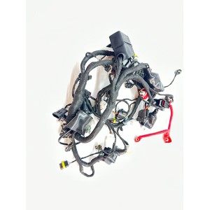 IMPIANTO ELETTRICO CABLAGGIO ABS BENELLI LEONCINO 500 2017-2020-2022 2