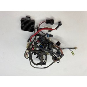CÂBLAGE DU SYSTEME ELECTRIQUE YAMAHA XC 300 VERSITY VP 300 2003-2006