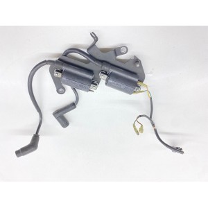 ZÜNDSPULEN APRILIA RSV FALCO TUONO 1000 1999-2003