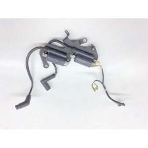 BOBINE D'ACCENSIONE APRILIA RSV FALCO TUONO 1000 1999-2003 2