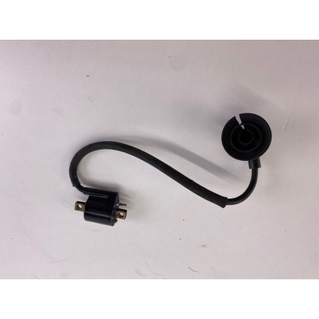 BOBINA D'ACCENSIONE APRILIA SCARABEO 50 2T 1994-1999