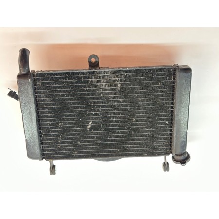 RADIATORE CON ELETTROVENTOLA YAMAHA YZF 600 THUNDERCAT 600 R 1997-2003