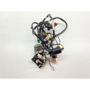 ELEKTRISCHE ANLAGE VERKABELUNG KYMCO AGILITY PLUS + R16 50 4T 2014-2018 2019-2021