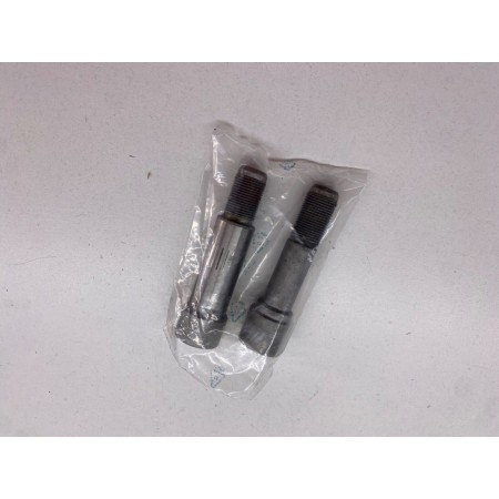 COPPIA PERNI VITI FORCELLONE DX SX DUCATI PANIGALE STREETFIGHTER V4S