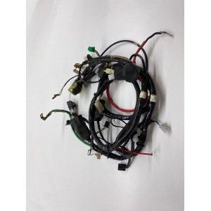 ELECTRICAL WIRING SYSTEM KYMCO AGILITY 200i R16 plus 2014-2018