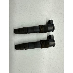 COPPIA BOBINE D'ACCENSIONE SUZUKI BURGMAN 650 EXECUTIVE 2006-2008-2010