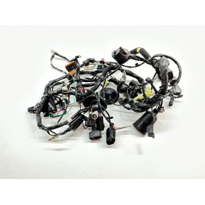 ELECTRICAL SYSTEM WIRING KAWASAKI VERSYS 650 2017-2020