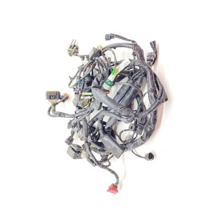 IMPIANTO ELETTRICO CABLAGGIO KAWASAKI ER6N ER-6N 650 2006-2009