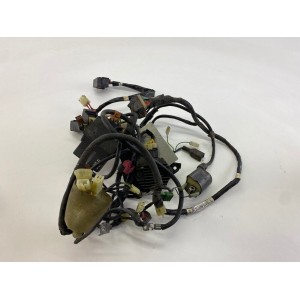 COMPLETE ELECTRICAL SYSTEM CONTROLLER BOBBIN HONDA FORESIGHT 250