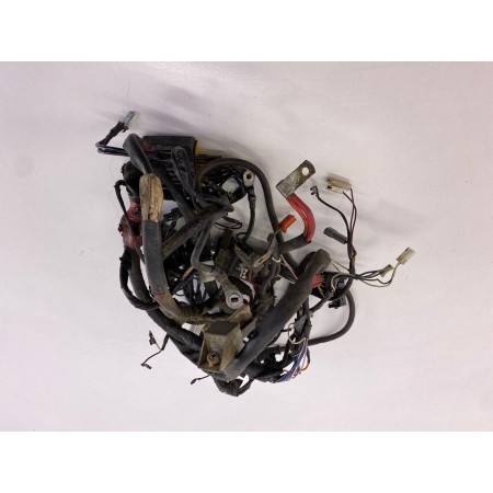 FAISCEAU ÉLECTRIQUE PIAGGIO LIBERTY 50 4T 1999-2004