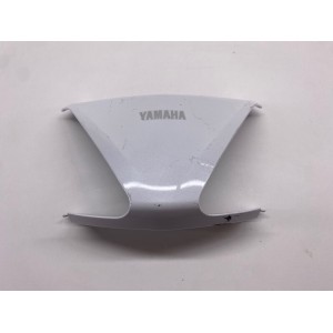 VERKLEIDUNGSRÜCKLICHT YAMAHA X-CITY XCITY 250 2006-2016