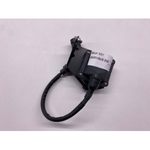 PEUGEOT GEOPOLIS 250 ie 2005-2012 Zündspule