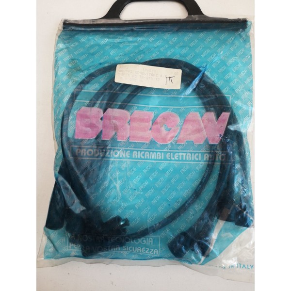 RENAULT R 5 TL TS GTL 16 TS TX 20 FUEGO TS GTS HT 4 Cavi Di Accensione  NUOVI