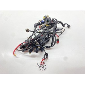 ELEKTRISCHE ANLAGE KABELBÄUME YAMAHA FZ1 1000 2006-2016