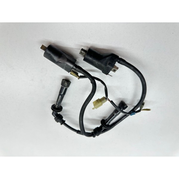 COPPIA BOBINE D'ACCENSIONE CAGIVA RAPTOR 650 2001-2004