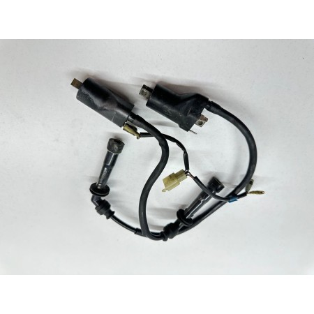 COPPIA BOBINE D'ACCENSIONE CAGIVA RAPTOR 650 2001-2004