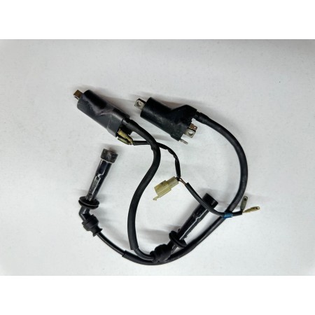 PAR DE BOBINAS DE ENCENDIDO CAGIVA RAPTOR 650 2001-2004