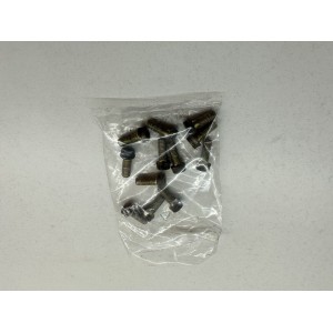 KIT VITI DISCHI FRENO ANTERIORI CAGIVA RAPTOR 650 2001-2004