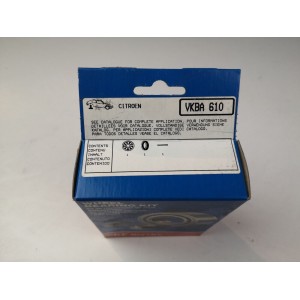 HINTERRADLAGERSATZ SKF VKBA610 CITROEN 2 - DYANE FÜR 75523458