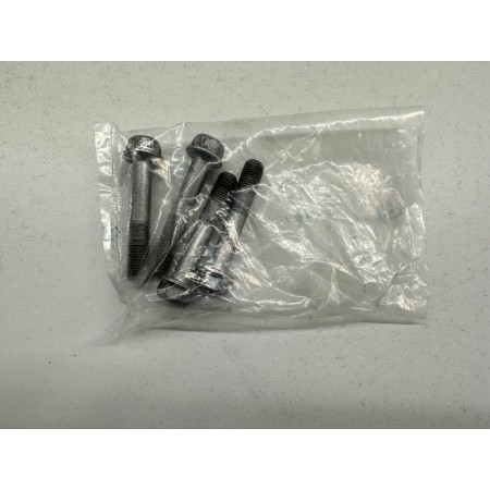 KIT 4 BOLTS FRONT BRAKE CALIPER PINS HONDA CBR 600 RR 2009-2011 PC40E