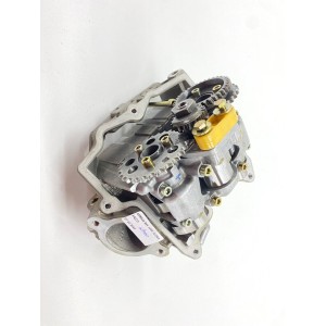 TESTA TESTATA ANTERIORE COMPLETA VALVOLE APRILIA RSV TUONO FALCO 1000 2001-03 2
