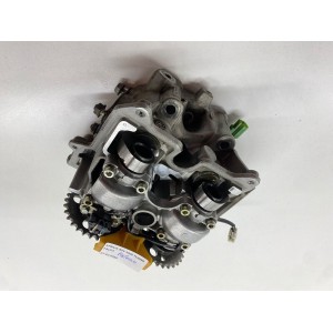 REAR CYLINDER HEAD COMPLETE WITH VALVES APRILIA RSV TUONO FALCO 1000 2001-03 2