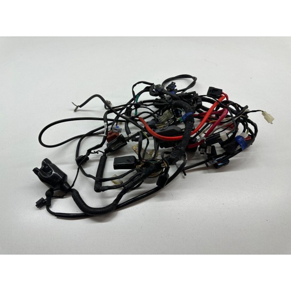 ELECTRICAL WIRING HARNESS HARTFORD VERVMOTO CLASSIC 250 S 2015-2018-2020 ABS