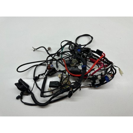 ELECTRICAL WIRING HARNESS HARTFORD VERVMOTO CLASSIC 250 S 2015-2018-2020 ABS