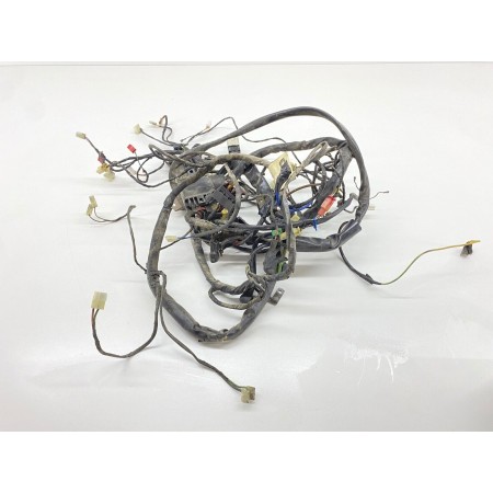 ELEKTRISCHE ANLAGENVERKABELUNG PIAGGIO X9 AMALFI 180 2000-2002