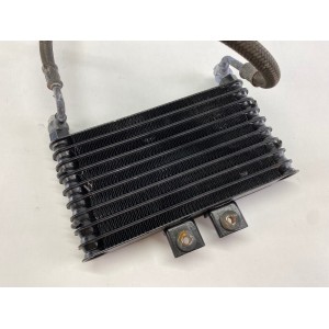 RADIATORE OLIO CON TUBI HYOSUNG AQUILA 250 GV 2004-2016 2