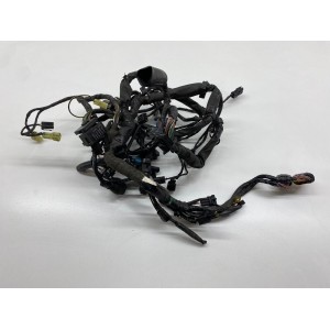 CÂBLAGE DU SYSTEME ELECTRIQUE KAWASAKI ER-6F 650 2009-2011